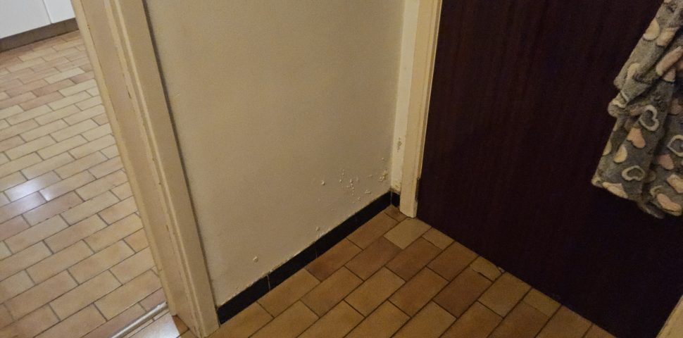 Vochtproblemen: Hoe zit het met de verzekeringen?