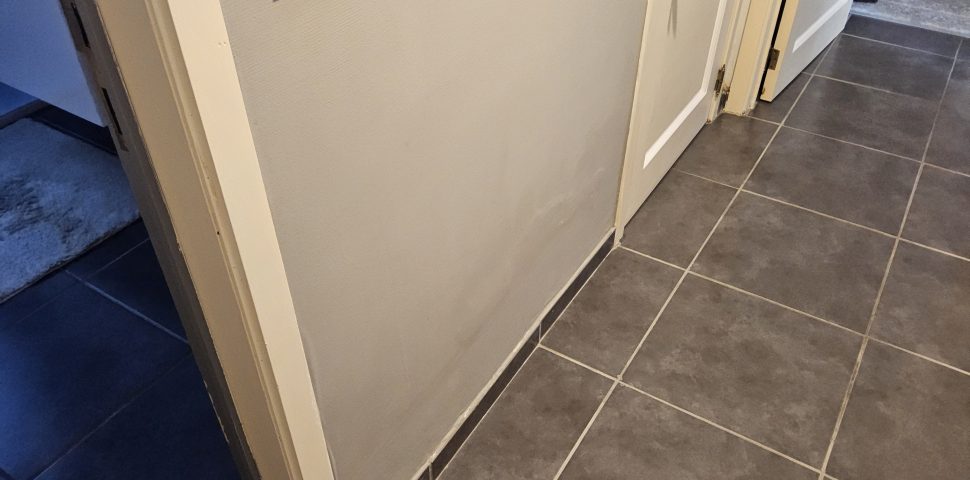 Hoe vochtige binnenmuur behandelen?