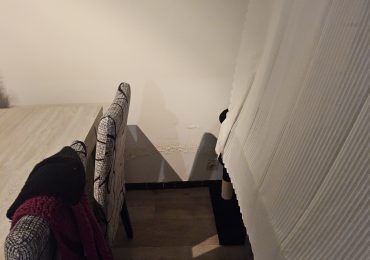 hoe zoutuitbloeiing vermijden