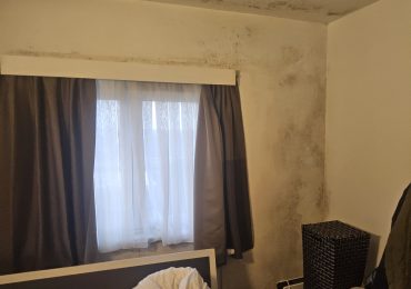 Waar komt schimmel in huis voor en hoe behandel je het?