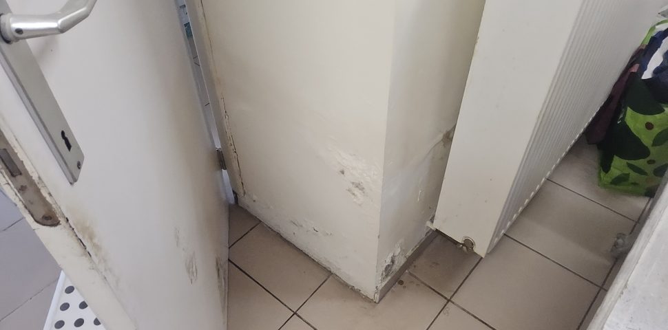 Vochtige muur met schade, nood aan vochtbestrijding
