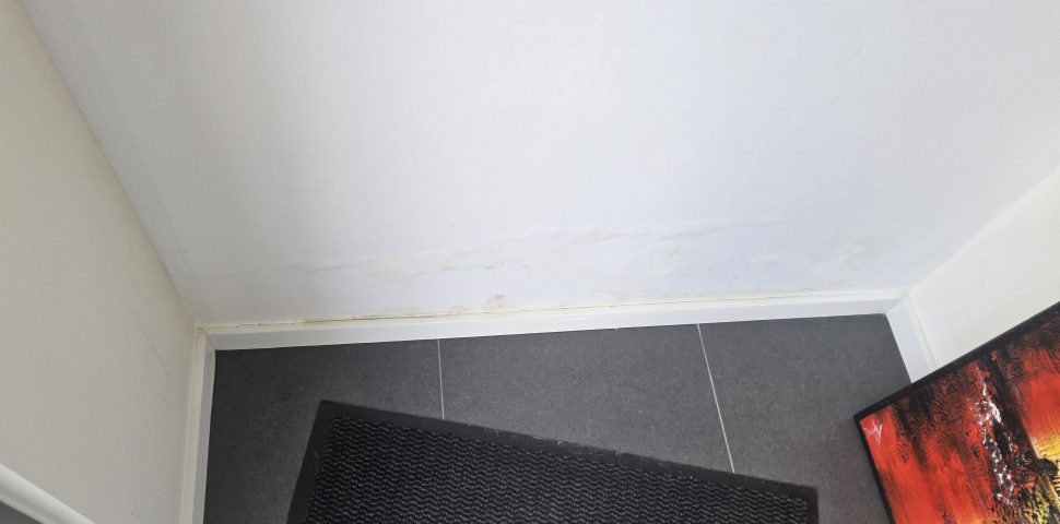 Vochtproblemen in nieuwe gebouwen