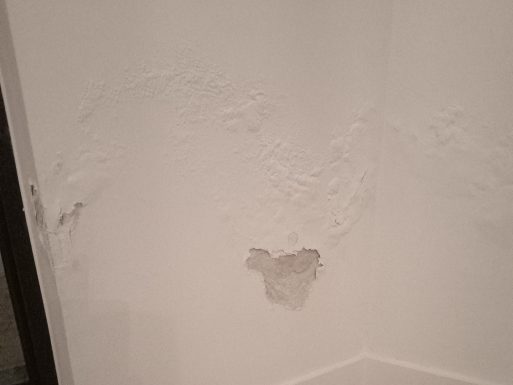 Afbladderende verf en behang omwille van opstijgend vocht