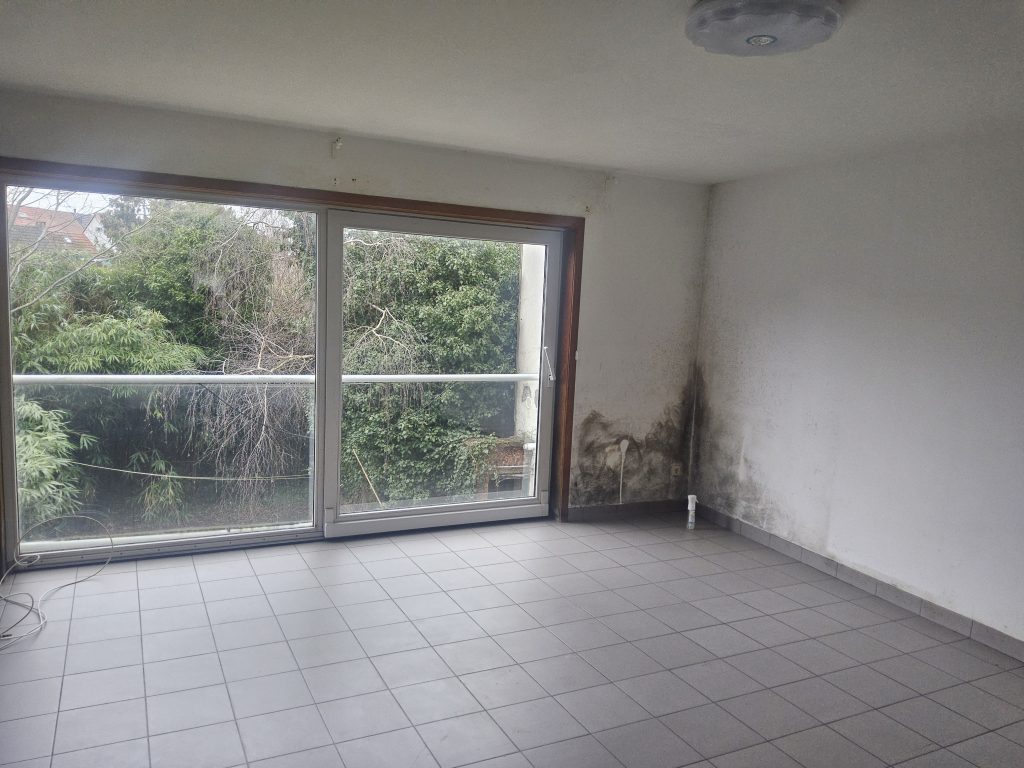 Schimmel in huis in de hoek van de muur