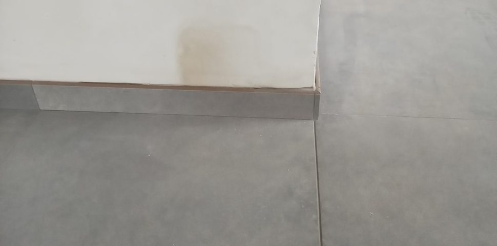schimmel in huis