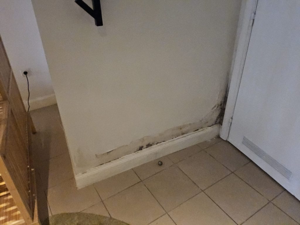 opstijgend vocht op muren