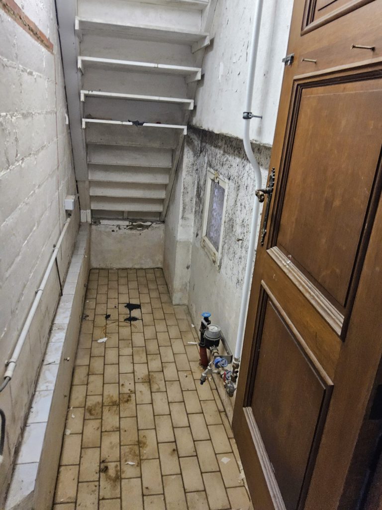 vocht in huis