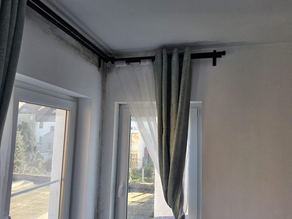 Een veelvoorkomende oorzaak van schimmel in huis is slechte ventilatie, zichtbaar als zwarte vlekken op het plafond