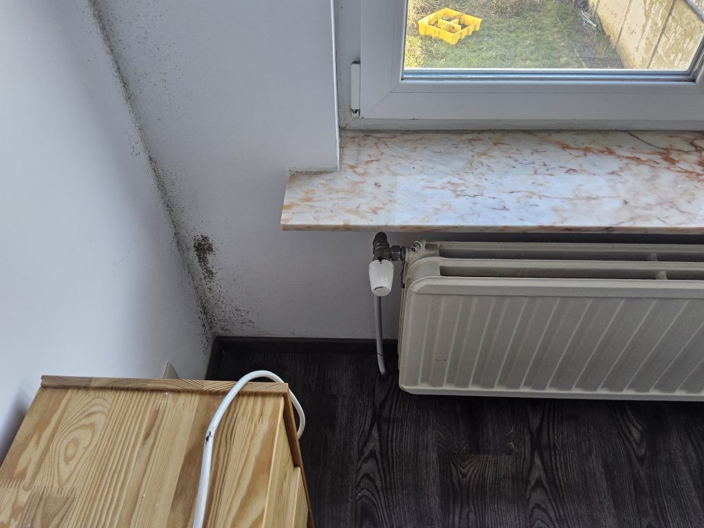 Schimmel op een vochtige muur door een verborgen oorzaak zoals lekkage of doorslaand vocht