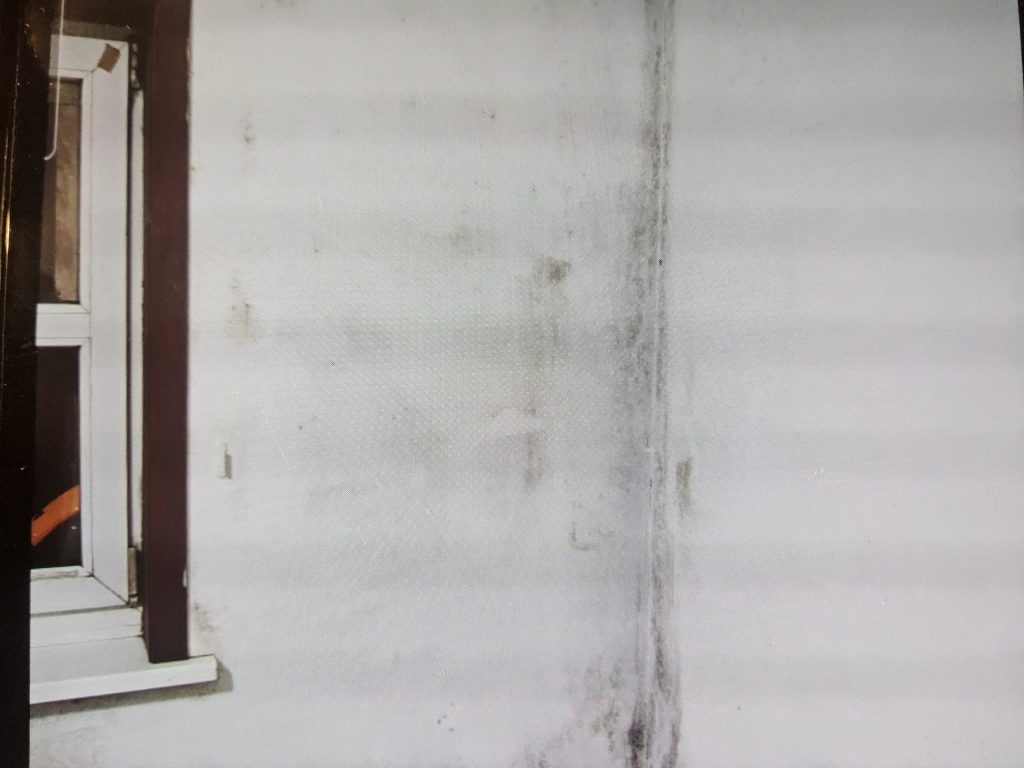 Schimmel op muur naast een raam aan de buitenkant van een gebouw