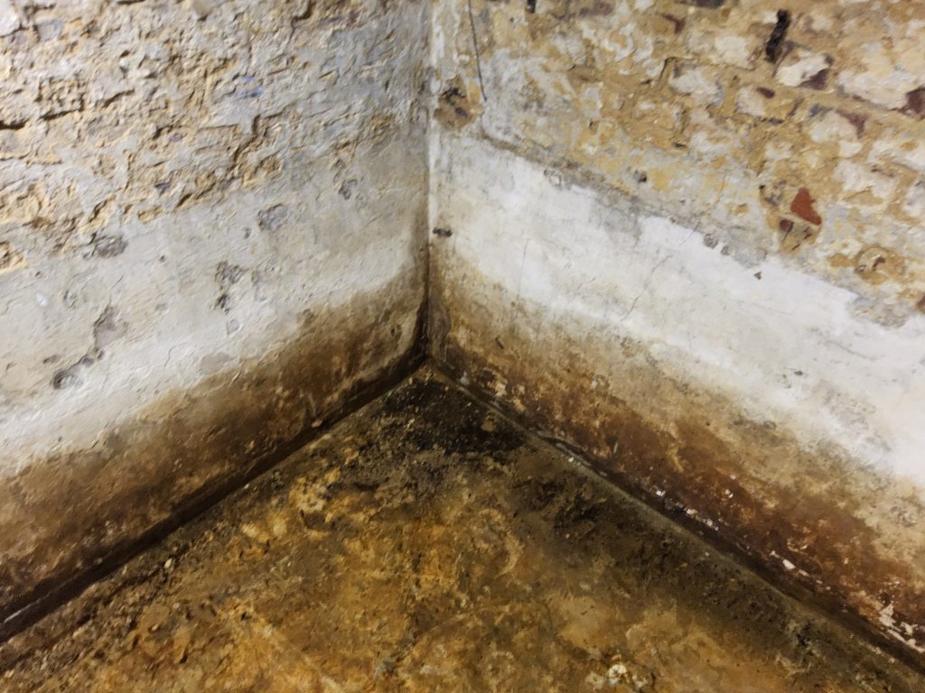 Close-up van kelderhoek met opstijgend vocht, een schimmelrand op de muur en een natte vloer
